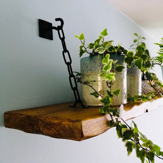 Wooden shelf with plants on and black hook and chain brackets but now